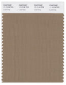 Pantone Smart 17-1118 TCX Color Swatch Card | Lead Gray