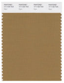 Pantone Smart 17-1125 TCX Color Swatch Card | Dijon