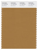 Pantone Smart 17-1128 TCX Color Swatch Card | Bone Brown