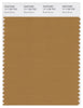 Pantone Smart 17-1128 TCX Color Swatch Card | Bone Brown