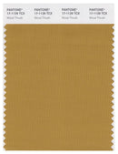 Pantone Smart 17-1129 TCX Color Swatch Card | Wood Thrush