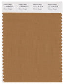 Pantone Smart 17-1134 TCX Color Swatch Card | Brown Sugar