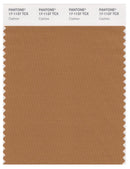 Pantone Smart 17-1137 TCX Color Swatch Card | Cashew