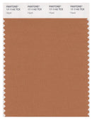 Pantone Smart 17-1143 TCX Color Swatch Card | Hazel
