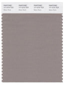 Pantone Smart 17-1210 TCX Color Swatch Card | Moon Rock