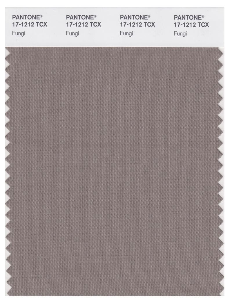 Pantone Smart 17-1212 TCX Color Swatch Card | Fungi