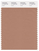 Pantone Smart 17-1224 TCX Color Swatch Card | Camel