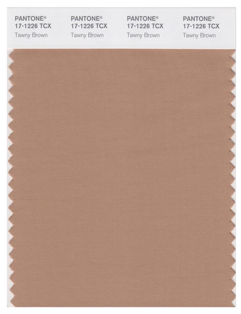 Pantone Smart 17-1226 TCX Color Swatch Card | Tawny Brown | Magazine ...