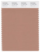 Pantone Smart 17-1227 TCX Color Swatch Card | Cafe?üAuLait