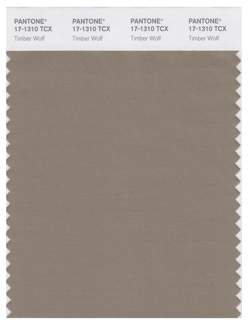 その他 PANTONE for fashion and  COLOR CARD Pantone Smart 18-5410 TCX Color Swatch Card | Silver Pine