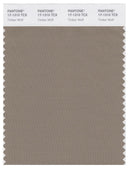 Pantone Smart 17-1310 TCX Color Swatch Card | Timber Wolf