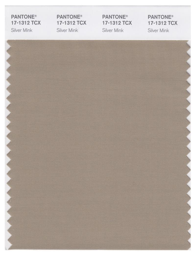 Pantone Smart 17-1312 TCX Color Swatch Card | Silver Mink