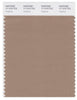 Pantone Smart 17-1319 TCX Color Swatch Card | Amphora