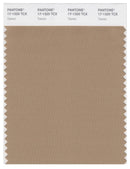 Pantone Smart 17-1320 TCX Color Swatch Card | Tannin