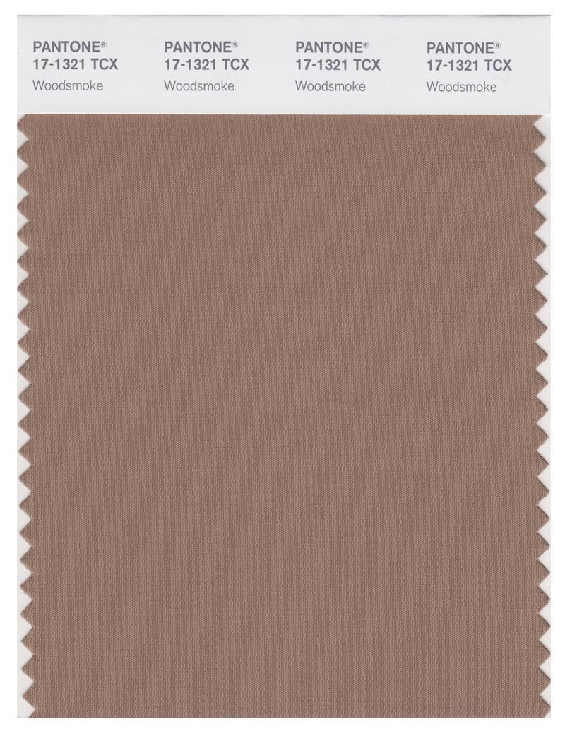 Pantone Smart 17-1321 TCX Color Swatch Card | Woodsmoke | Magazine