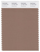 Pantone Smart 17-1321 TCX Color Swatch Card | Woodsmoke