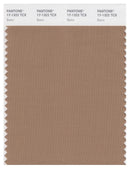 Pantone Smart 17-1322 TCX Color Swatch Card | Burro
