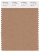 Pantone Smart 17-1328 TCX Color Swatch Card | Indian Tan