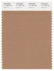 Pantone Smart 17-1328 TCX Color Swatch Card | Indian Tan