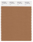 Pantone Smart 17-1330 TCX Color Swatch Card | Lion