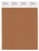 Pantone Smart 17-1336 TCX Color Swatch Card | Bran