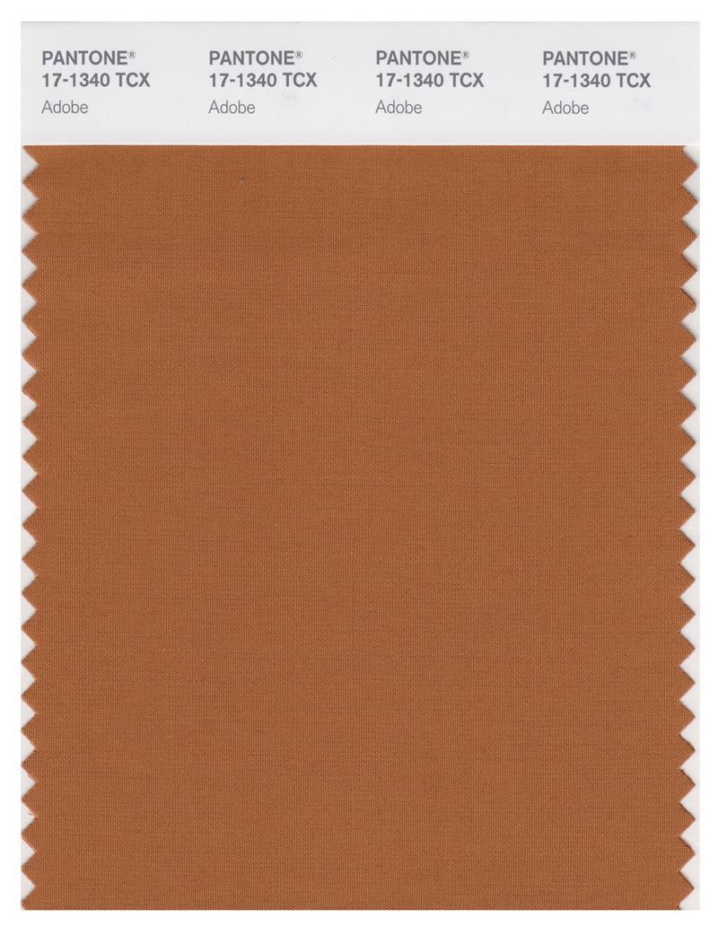 Pantone Smart 17-1340 TCX Color Swatch Card | Adobe | Magazine