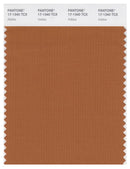 Pantone Smart 17-1340 TCX Color Swatch Card | Adobe