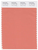 Pantone Smart 17-1341 TCX Color Swatch Card | Tawny Orange