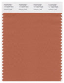 Pantone Smart 17-1347 TCX Color Swatch Card | Autumn Leaf