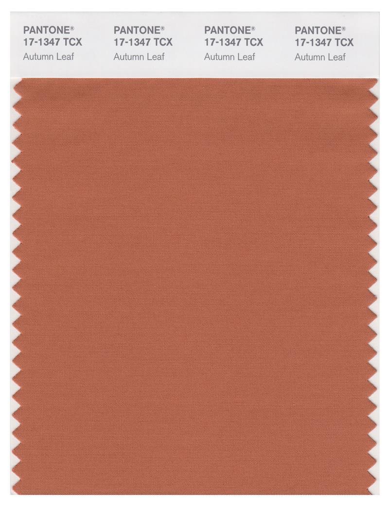 T17 Color Code Pantone Smart 17-1347 TCX Color Swatch Card | Autumn Leaf | Magazine ...