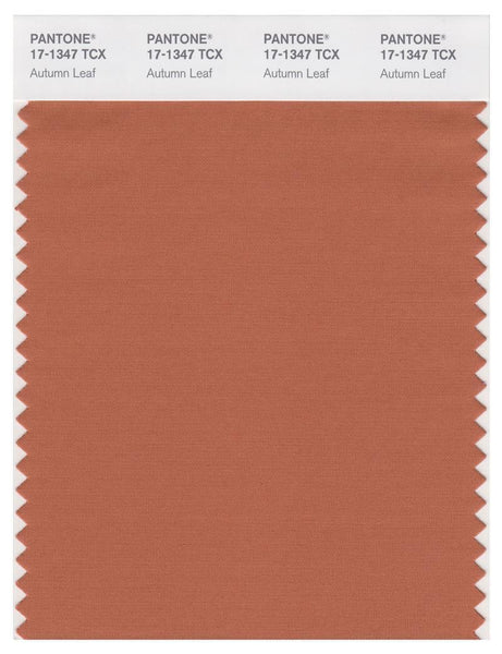 Pantone Smart 17-1347 TCX Color Swatch Card | Autumn Leaf