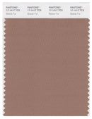 Pantone Smart 17-1417 TCX Color Swatch Card | Beaver Fur