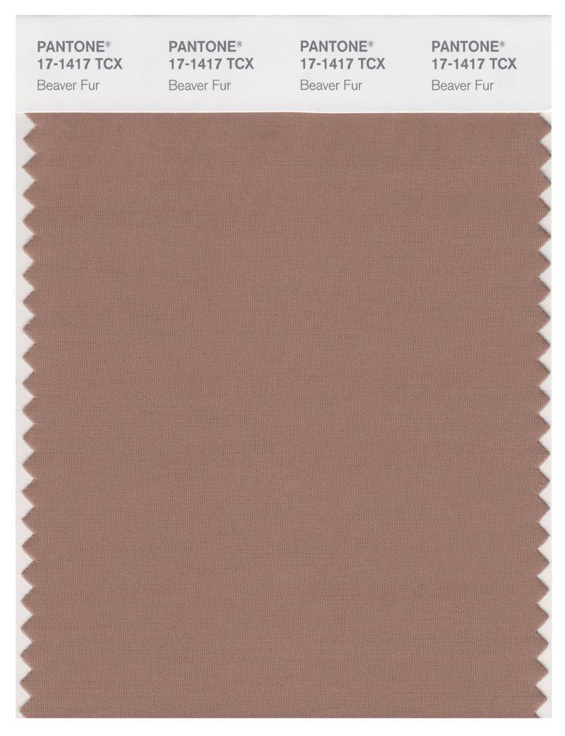 T17 Color Code Pantone Smart 17-1417 TCX Color Swatch Card | Beaver Fur | Magazine ...