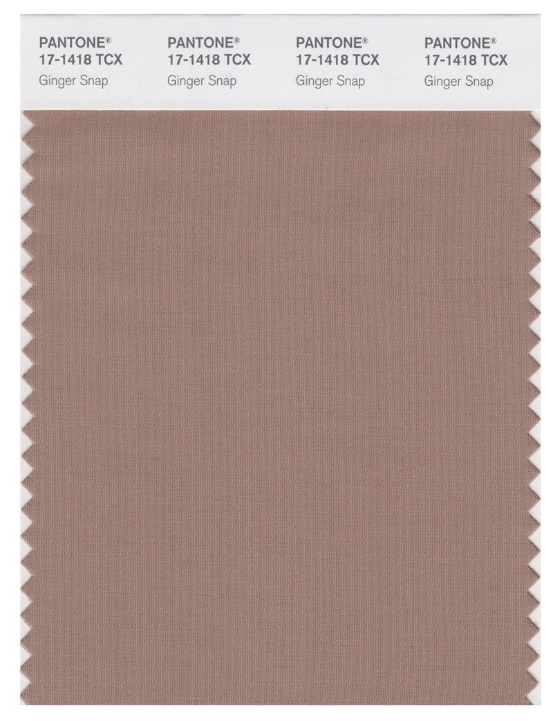 Pantone Smart 17-1418 TCX Color Swatch Card | Ginger Stap