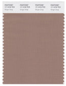 Pantone Smart 17-1418 TCX Color Swatch Card | Ginger Stap