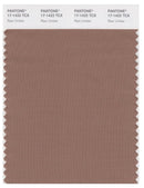 Pantone Smart 17-1422 TCX Color Swatch Card | Raw Umber