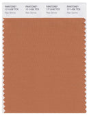 Pantone Smart 17-1436 TCX Color Swatch Card | Raw Sienna