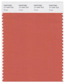 Pantone Smart 17-1444 TCX Color Swatch Card | Ginger
