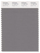 Pantone Smart 17-1500 TCX Color Swatch Card | Steeple Gray