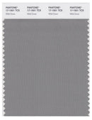Pantone Smart 17-1501 TCX Color Swatch Card | Wild Dove