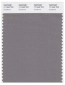 Pantone Smart 17-1502 TCX Color Swatch Card | Cloud Burst