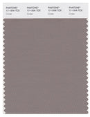 Pantone Smart 17-1506 TCX Color Swatch Card | Cinder