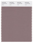 Pantone Smart 17-1510 TCX Color Swatch Card | Antler
