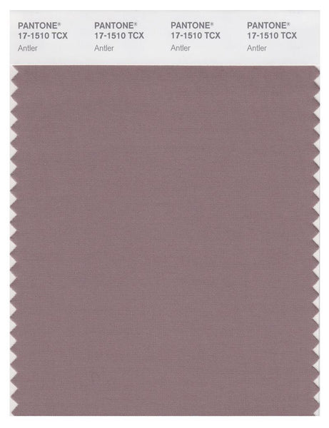 Pantone Smart 17-1510 TCX Color Swatch Card | Antler | Magazine