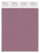 Pantone Smart 17-1512 TCX Color Swatch Card | Nostalgia Rose