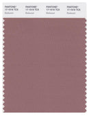 Pantone Smart 17-1516 TCX Color Swatch Card | Burlwood