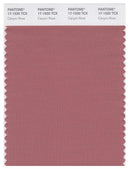 Pantone Smart 17-1520 TCX Color Swatch Card | Canyon Rose