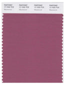 Pantone Smart 17-1522 TCX Color Swatch Card | Mauvewood