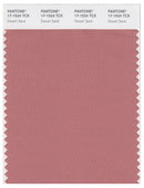 Pantone Smart 17-1524 TCX Color Swatch Card | Desert Sand