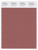 Pantone Smart 17-1525 TCX Color Swatch Card | Cedar Wood
